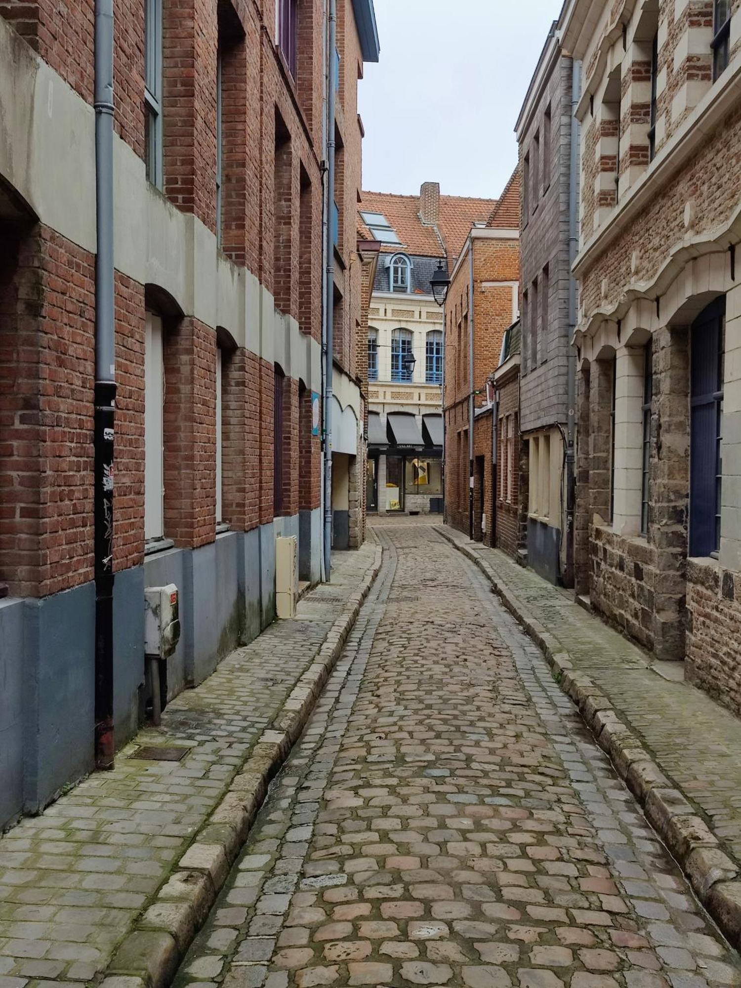 Studio Passage Des Arts - Vieux Лилль Экстерьер фото